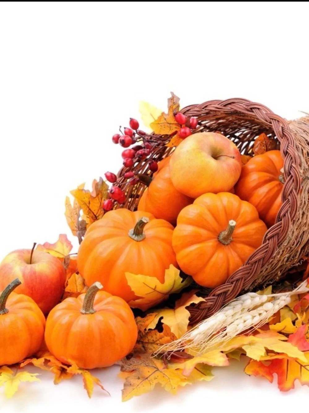 New Woven Cornucopia Basket – Rustic Fall Harvest Decor  new without tags